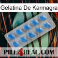 Karmagra Jelly 22